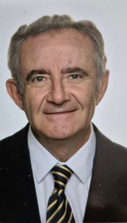 JUANFERNANDO SELLÉS DAUDER