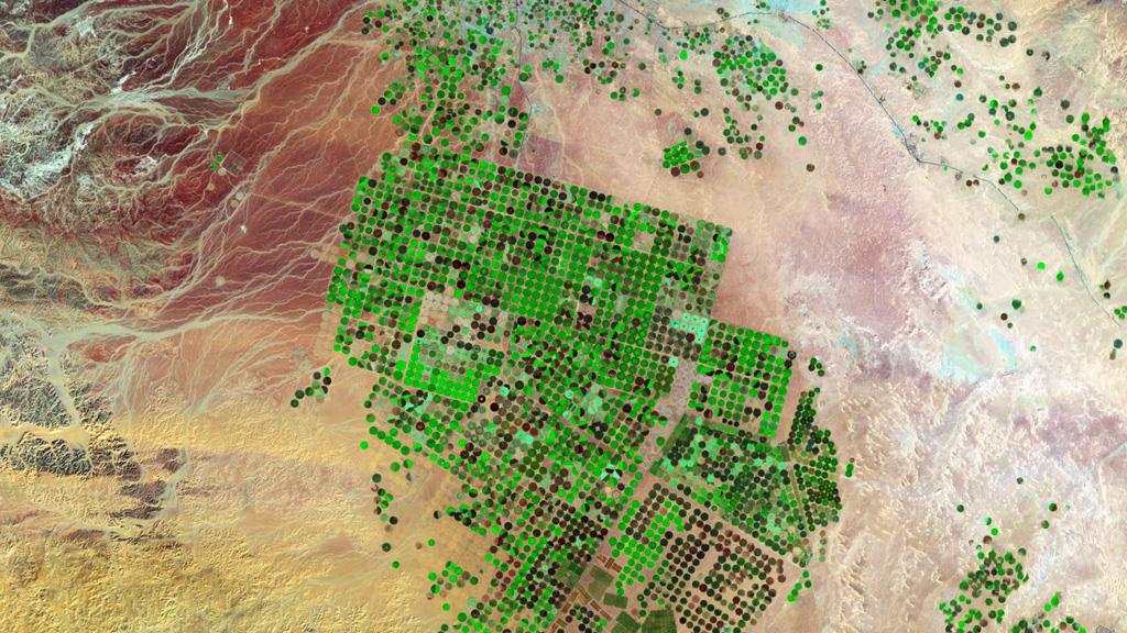An aerial view of terrain and landscape, representing Woolf's global reach across disciplines